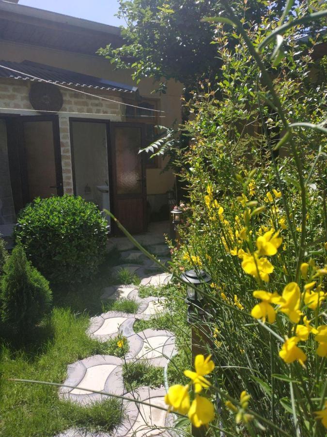 Sim Sim Hostel & Guest House Near The Church Samarkand Bagian luar foto