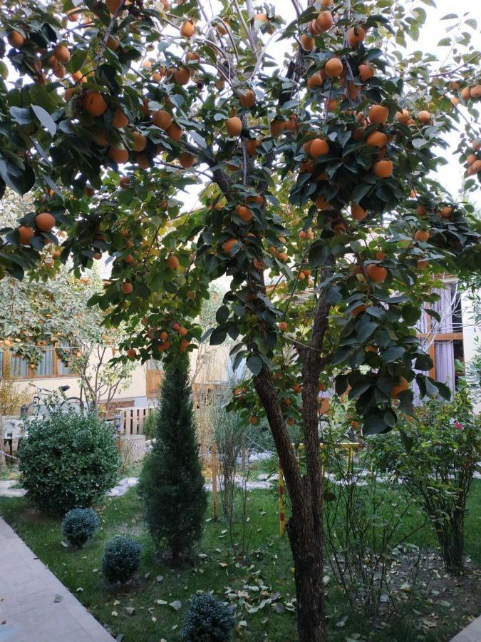 Sim Sim Hostel & Guest House Near The Church Samarkand Bagian luar foto