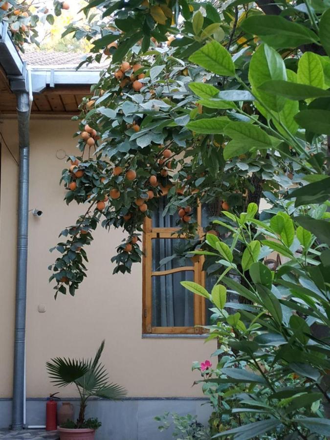 Sim Sim Hostel & Guest House Near The Church Samarkand Bagian luar foto