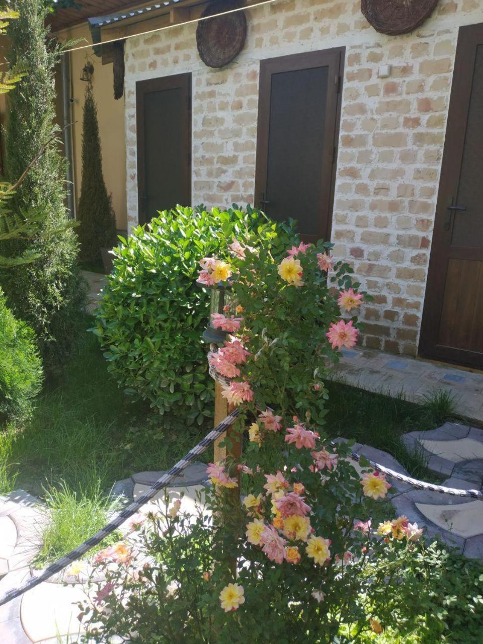 Sim Sim Hostel & Guest House Near The Church Samarkand Bagian luar foto