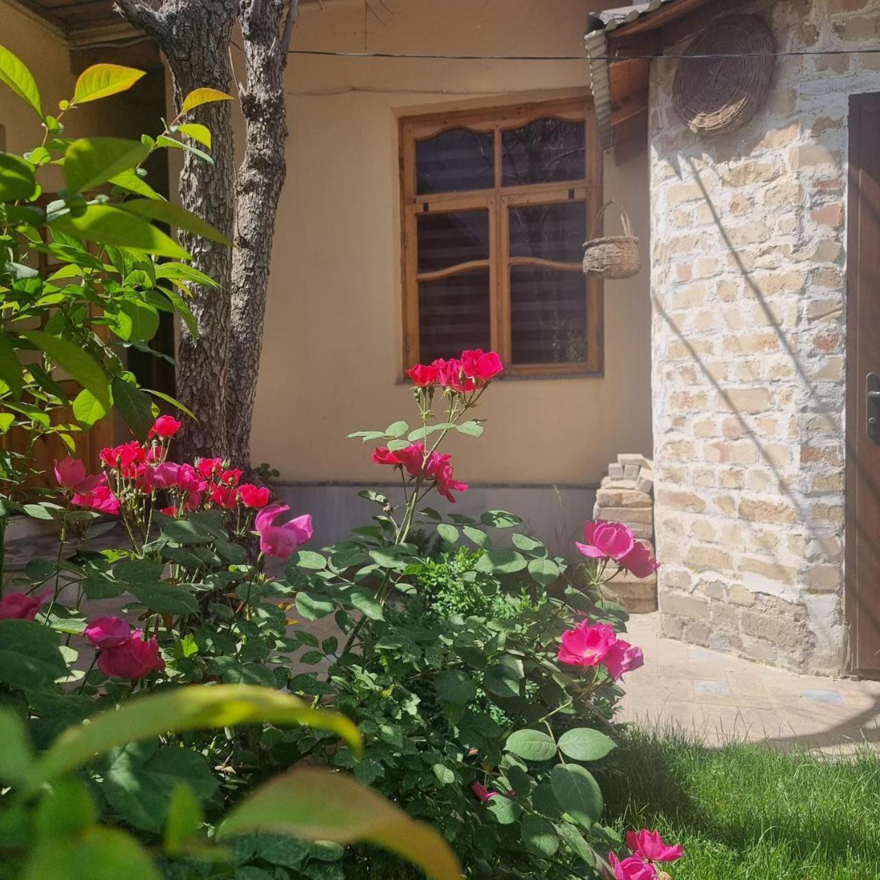 Sim Sim Hostel & Guest House Near The Church Samarkand Bagian luar foto